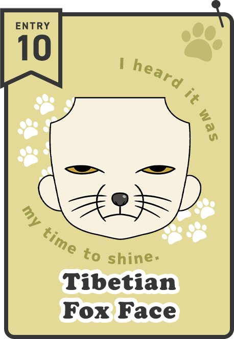 Tibetian Fox Face